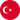 Türkçe